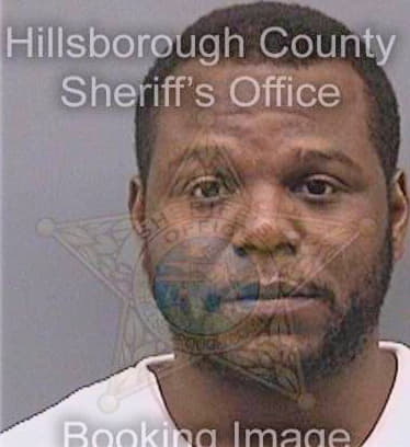 Robinson Justin - Hillsborough County, FL 