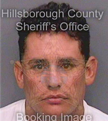 Falconhernandez Rosel - Hillsborough County, FL 