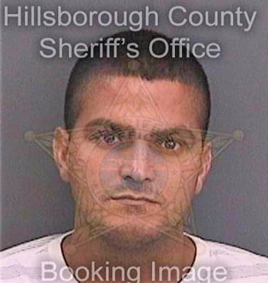 Perez Alexis - Hillsborough County, FL 