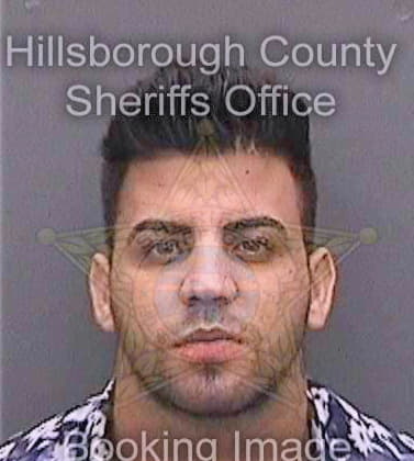 Rodriguezmatos Fernando - Hillsborough County, FL 