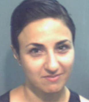 Hamidi Hedyeh - Orange County, FL 
