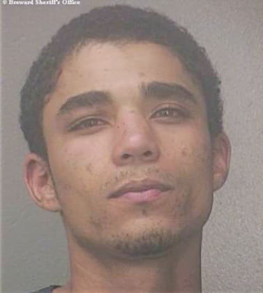 Holder Sean - Broward County, FL 