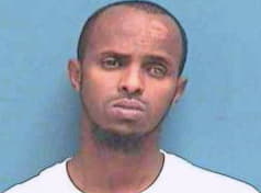 Ahmed Wali - Stearns County, MN 