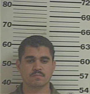 Cardenas Luis - Hidalgo County, TX 