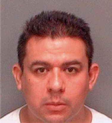 Estrada Gilberto - Pinellas County, FL 