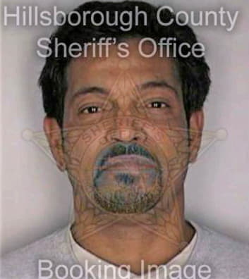 Guzman Jose - Hillsborough County, FL 