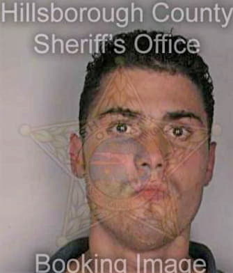 Martin Edward - Hillsborough County, FL 