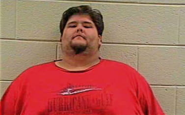 Mealer Jonathan - Pickens County, GA 