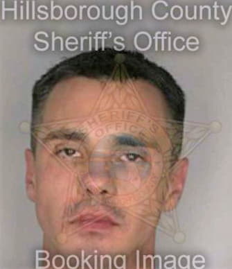Clinger Robert - Hillsborough County, FL 