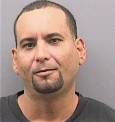 Velez Wilfredo - Hillsborough County, FL 