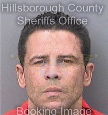 Montalvoalvarado Angel - Hillsborough County, FL 