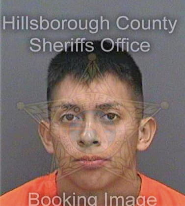 Robledo Joe - Hillsborough County, FL 