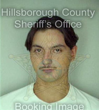 Ponce Joseph - Hillsborough County, FL 
