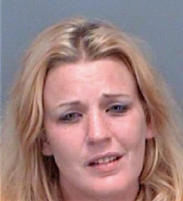 Robinson Lori - Pinellas County, FL 