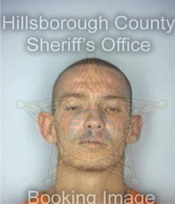 Slagle Robert - Hillsborough County, FL 
