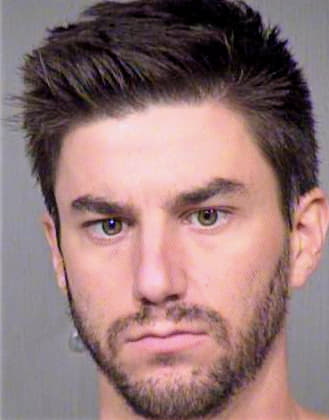 Counts Andrew - Maricopa County, AZ 