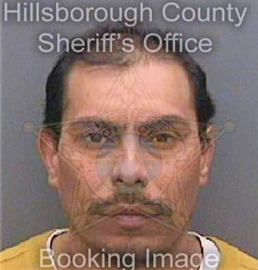 Penamorales Miguel - Hillsborough County, FL 