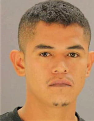 Sanchez Vicente - Dallas County, TX 