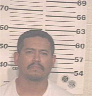 Hinojosa Fernando - Hidalgo County, TX 