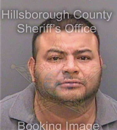 Rodriguezramirez Juan - Hillsborough County, FL 