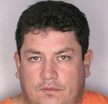 Dalmau Pedro - Hillsborough County, FL 