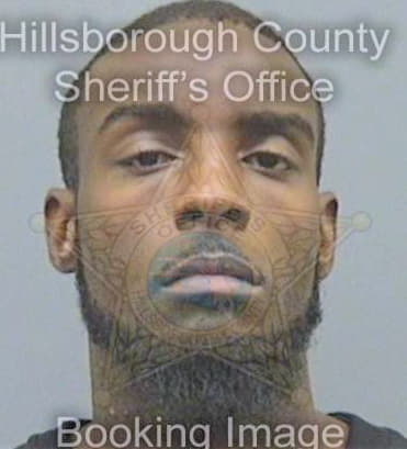 Mcfarland Anthony - Hillsborough County, FL 