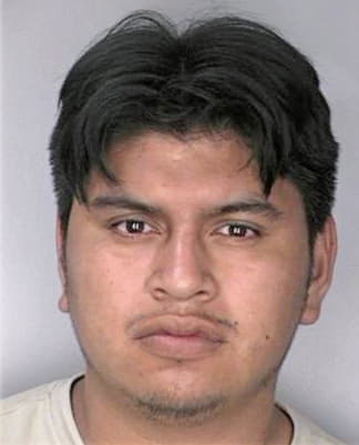 Lopez Francisco - Hillsborough County, FL 