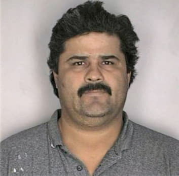 Velasquez Gerardo - Hillsborough County, FL 