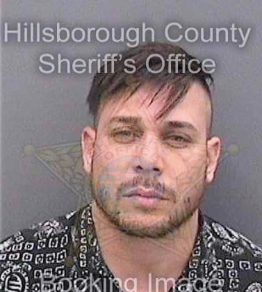 Flores-Rodriguez Nestor - Hillsborough County, FL 
