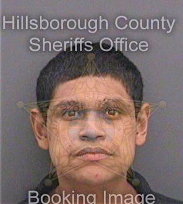 Vidal Rogelio - Hillsborough County, FL 