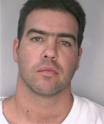 Anderson Sean - Hillsborough County, FL 