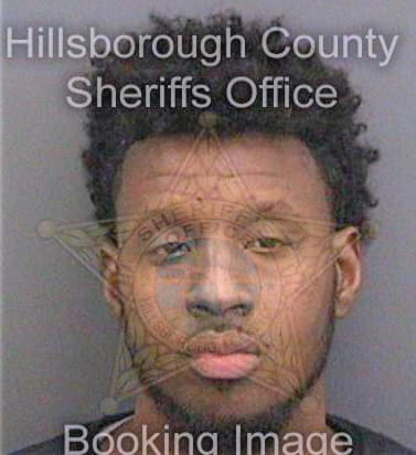 Virgile Wildor - Hillsborough County, FL 