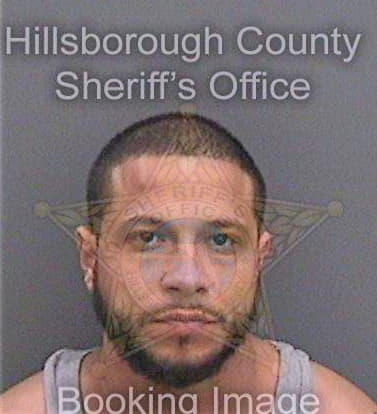 Bonet Yosnel - Hillsborough County, FL 