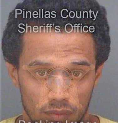 Gonzalez David - Pinellas County, FL 