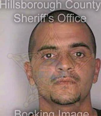 Torres Moises - Hillsborough County, FL 