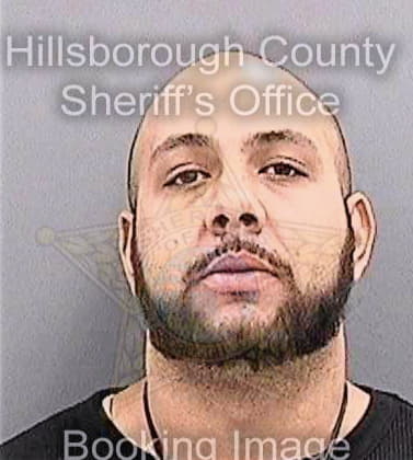 Wilson Terry - Hillsborough County, FL 