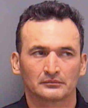 Sandoval Carlos - Lee County, FL 