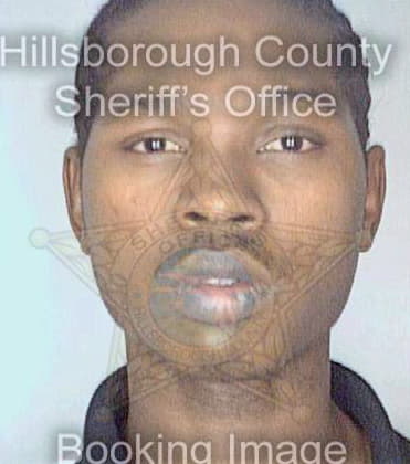 Hicks Reginald - Hillsborough County, FL 