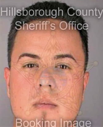 Dehoyos Tony - Hillsborough County, FL 