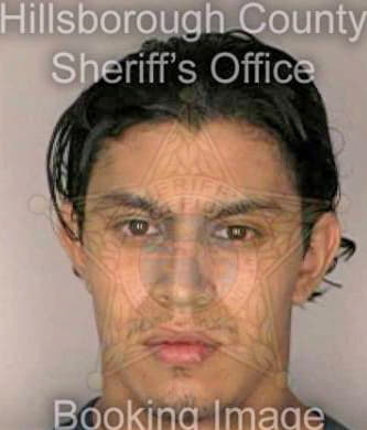 Lopezcastelan Alvaro - Hillsborough County, FL 