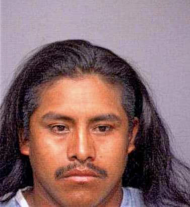 Vasquez-Luis Jose - Marion County, FL 