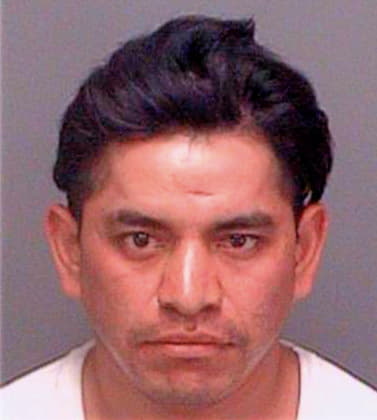 Estrella Juan - Pinellas County, FL 