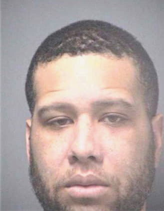 Whitfield Carl - Hillsborough County, FL 