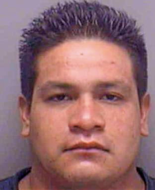Mendoza Eduardo - Lee County, FL 