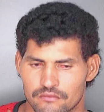 Ventura Julian - Polk County, FL 