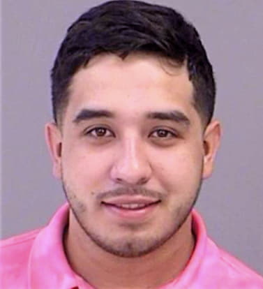 Trevino Luis - Brazos County, TX 