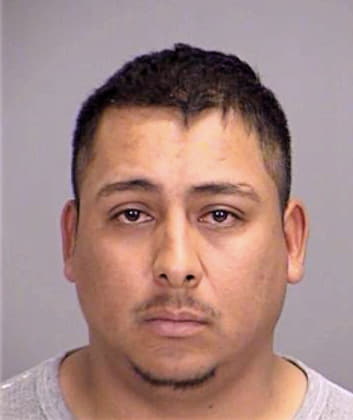 Hernandez-Herrera Jose - Brazos County, TX 