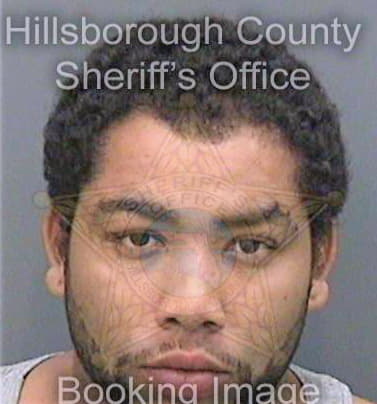 Velez Julian - Hillsborough County, FL 