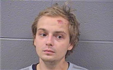 Tokarski Mateusz - Cook County, IL 