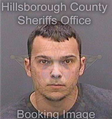 Langshaw Michael - Hillsborough County, FL 